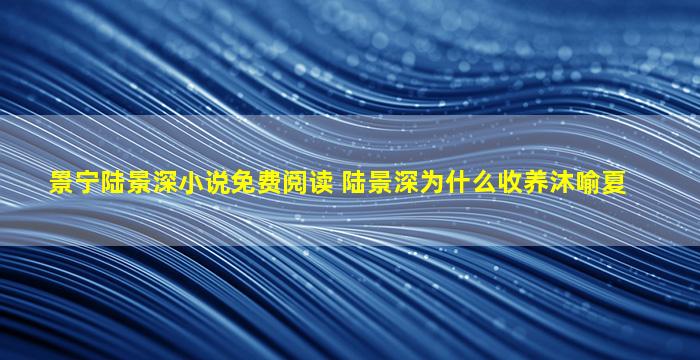 景宁陆景深小说免费阅读 陆景深为什么收养沐喻夏